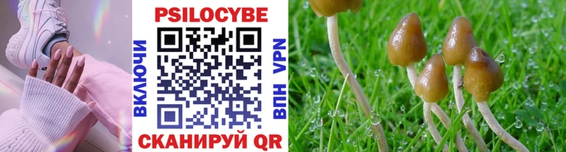 Псилоцибиновые грибы прущие грибы Высоковск